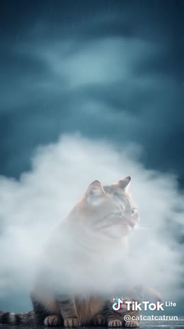 7ea35a5dd8e6555e578fc58446c6b4c8_1736766256614