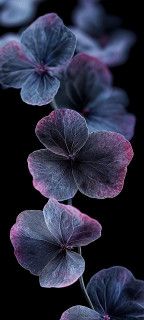 zjkJatnbML1YGBTkfQsrFkmLQeuca_9CMQmjIAAZf-kZlQ91isg70EzFiCLjPdasW5R_6UUsOtx2uGNm_uFnTjwJ
