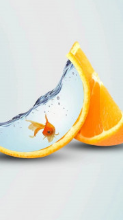 U_go_SWy-yunYR4hamnu38aKjeuQjfqOB7nPJ52U-kJTBtXWw7CW4aNFuCC70DJxK0I_JAvGnKgd1sBt7_vtxqK5