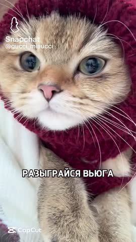 Snapchat-1419277082