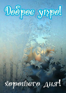 IMG_20250115_083741_003