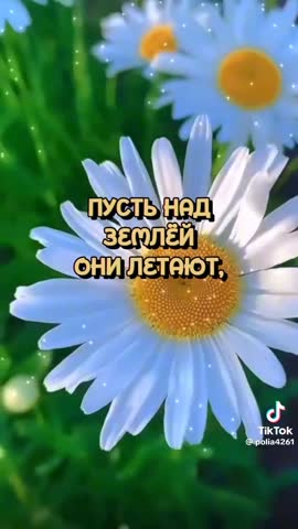 Foiz_PRO_e2b1483b35e773255644a9433ef46343