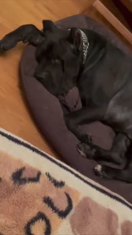 VID_20250116_001830_984