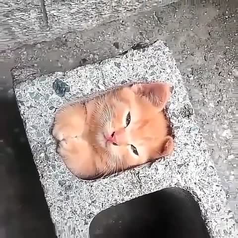 30734740_175304849835970_4480006480928222677_n