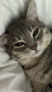 7IIMRyg6gvvZXSl13CYWifQJFX377-kOJxzV67gVhof81F-wpMOdx0bc7PYkMhJ-4ez6f-HSmwhFpVUCy9rB-O