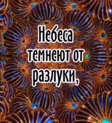 -Одиночество-