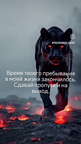 VID_20250117_014425_212