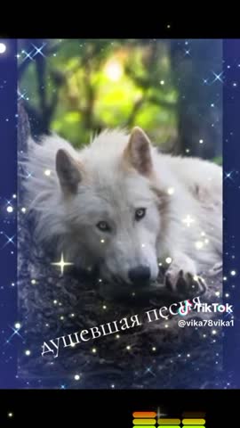 4f05fe7adf8f81a5a6ae30dee0dcb93a