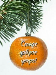 IMG_20250119_080109_589