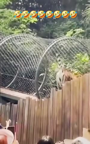 VID_20250119_205942_840