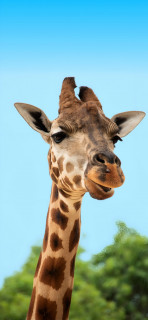 UM-TSQCgMceyGZ0gzMNqte8vThP8dj7gaBjV_L1H9I0WQzF-MkQ3gH2IZV5OOzZeRKbEXww2iswlqZPtjNuddoLw