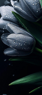 ffZMOvDxu9uWg6Nibdj7sEduo4aTpEvb-G6WCPAYLQ9kpuejeIIgKMrcVybxYDzKxTDq9pX5tVs93Q2FOmtSIU