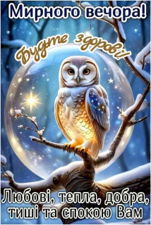 FB_IMG_17373935262174348