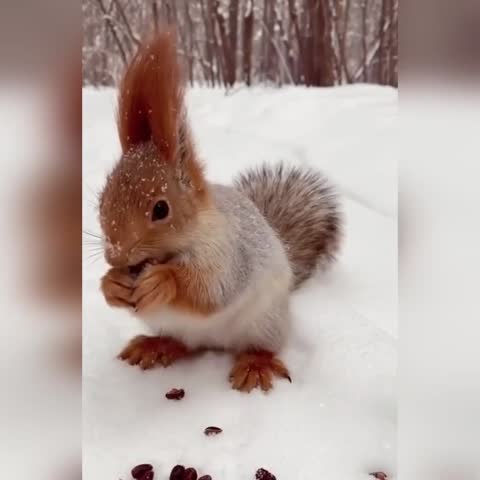 VID_20250121_161426_489