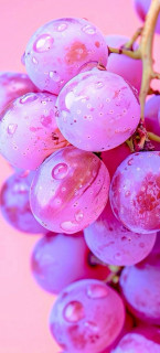 HXUugrBX0txXG1xoOzZsNC--PvQiN1uh4sCwfjefBSU4-oydL-tqdAsHxBhMZINNIueFin77yPq-AEXjGF9RbO7J