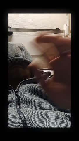 f172beb1dc3605dfbe1ca9bcae910ac4