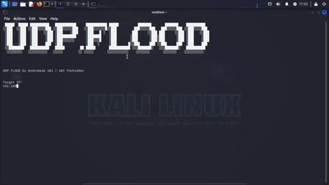 UDP FLOOD