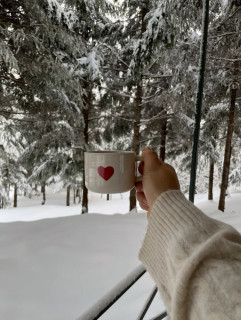 IMG_20250122_194445_007