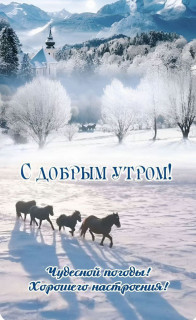 IMG_20250123_070216_390