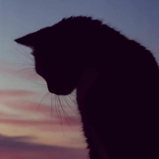 AT4GoDCAdX60iuLqglriyWSlLmli3aRBC8dY6U2R5zMUULcX6XpXKBZ8ehpBjTVvHqaCXHJGD6CvihIu2d9AX_Mr