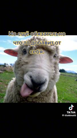 -Наша-2025-Жизнь-