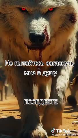 aacd7b88e6bbe0de8a7cebd0ecc9f9c8_1737640094369