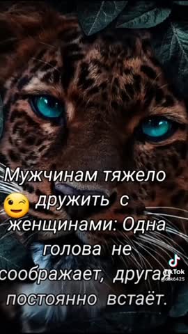 2fe0d41c779da55c759a42a649261432