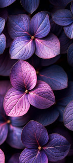 C6kyvNCVaoMgyVq7pUy__5w-CNyhfPnli_o_NSPX465ekNt2tsdjt1ZD38r_d-lo86FrRsAyn50h8I-8MrJNRWi4