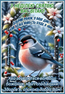 FB_IMG_17378734053986194