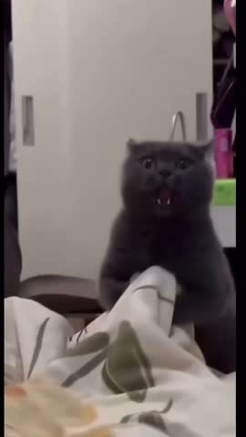 Киборг_убийца