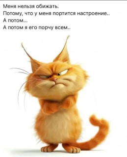 FB_IMG_17379174036510148