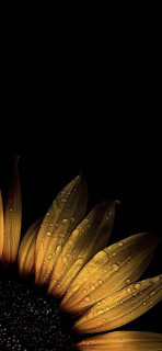 Cb4zO7sP4X_YsVLWPk6xb-FpA8sH4GPX1YBr4q2B8cHYYRpjTTo46_e_qwDq_nffuR365sOLvdccDZuXGKcjHpI-