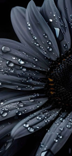 gPH3qjimrkgefnXP2XBO79GScVjgYQlU4GNnt9vXG-LwtC9Ba-qAV80n3DGFG0y0wTRamsrE1gItyCd9EdgYQkjO