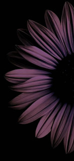 cb65jKWG7BmIR4zR7pJHZ9r67hEOBjXCZIkXaBwuxNn7soXbyZJZcivbOjnhsdyTcFYIZZ0kEMdO8V9tnrEppM