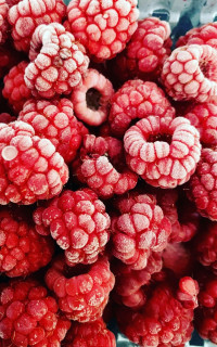 ykJzjMhkZoI1wKz8NbH1zlrcAvM828Y4H5QmYq6CQDvdKvF0OLl6QRq7_LD9Da9X7kdq-44Fi5ICfgGHFD1-LlL7