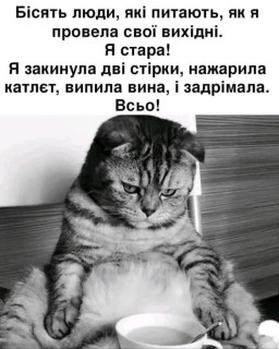 FB_IMG_17379619256789085