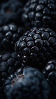 0vcMMVx-AHzS6X6t9-4SD7U-B9A1TiFTgHeUERnVbvptyoO1cnMZlkZZzAnPLe9G11MFvHhiB4bXdXzHGP_frcvM