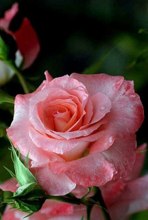 p7hRs0E7_SVlsAJnJhDqbnq8VTzuefERnWM2HNkxstQtlqAmuIAeRnv5is7FcfO4Nk_ApSM86GAeTpC3IGmF9d