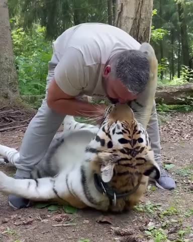 VID_20250127_183219_078