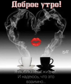 IMG_20250129_064842_429