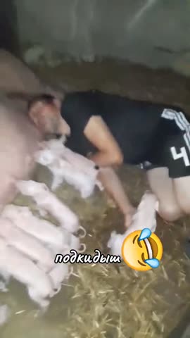 VID_20250129_150803_388