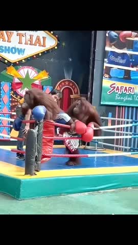 VID_20250130_193517_373