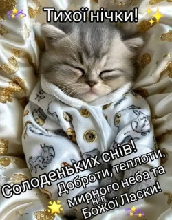 FB_IMG_17382668804962765