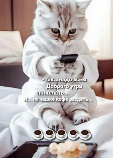 IMG_20250201_065605_963