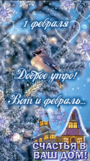 IMG_20250201_065602_233