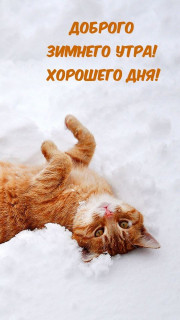 IMG-155b1a9cedd2c906babc5f576518bb2e-V