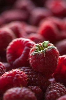 sf5vIBSVrB9rE9hAXHmAjWnftwXzHOIfTkvpMu6be3yIIKni9NhbP6oI7L3VbJ9TEkwoSDa6VrL1PtU5vnMxR2Ty