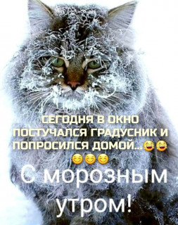 IMG_20250202_063729_661