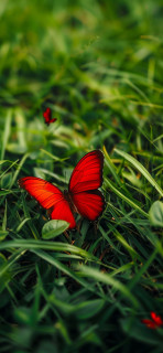 gyudgUZimt9wHs7Xs5b8cPvGeu3BNf8RLFKhHQGGWPyrw6Ue8XHOKbka5VNABz2tCIm3U2GCUNxMaA3zJNCmDwkG