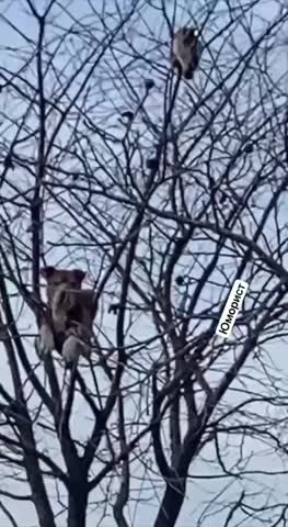 VID_20250202_150807_584